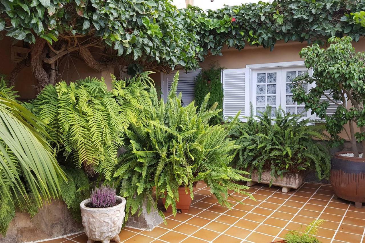 Villa Orotava Garden House Perfect For Families La Orotava Esterno foto